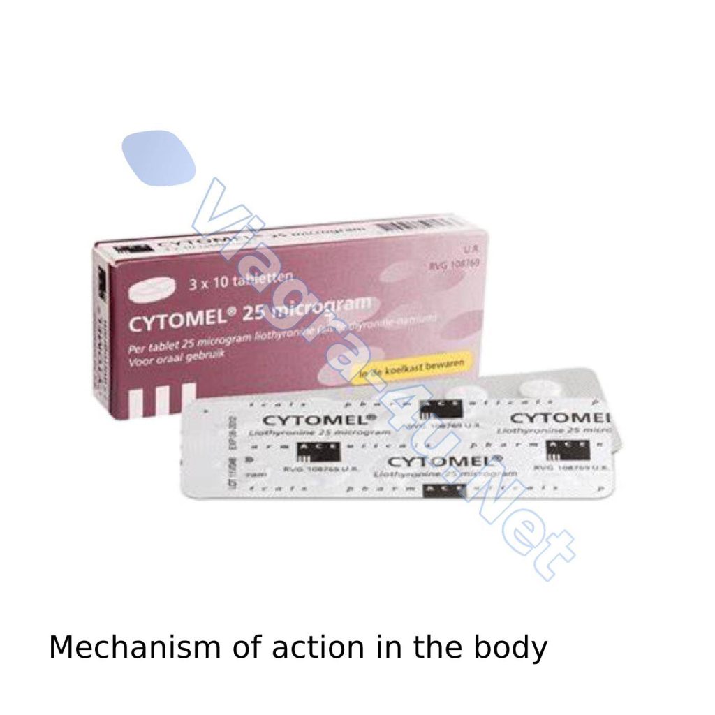 Mechanism of action in the body
